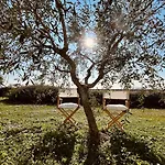 Dom wakacyjny Casa Bozzo, 'collina' Case Selva Grande