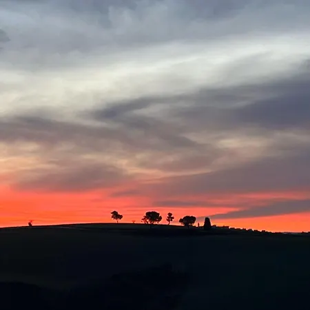 Casa Bozzo, 'collina' Holiday home *