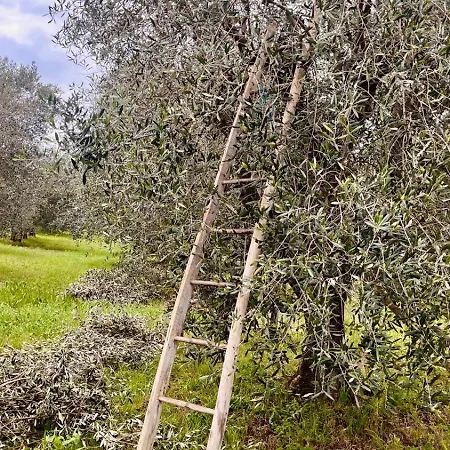 Casa Bozzo, 'collina' Holiday home