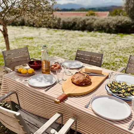 Casa Bozzo, 'collina' *