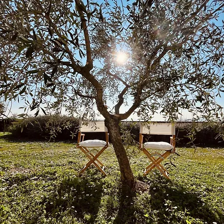 Dom wakacyjny Casa Bozzo, 'collina' Case Selva Grande