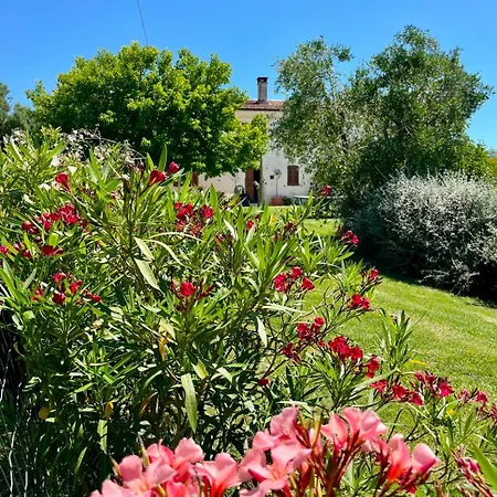 Casa Bozzo, 'collina' * Case Selva Grande